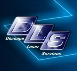 Logo-DLS-300x276